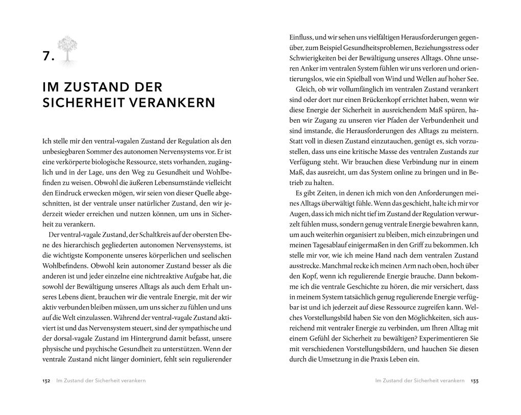 Weitere Ansicht: Der Vagus-Nerv als innerer Anker | Deb Dana