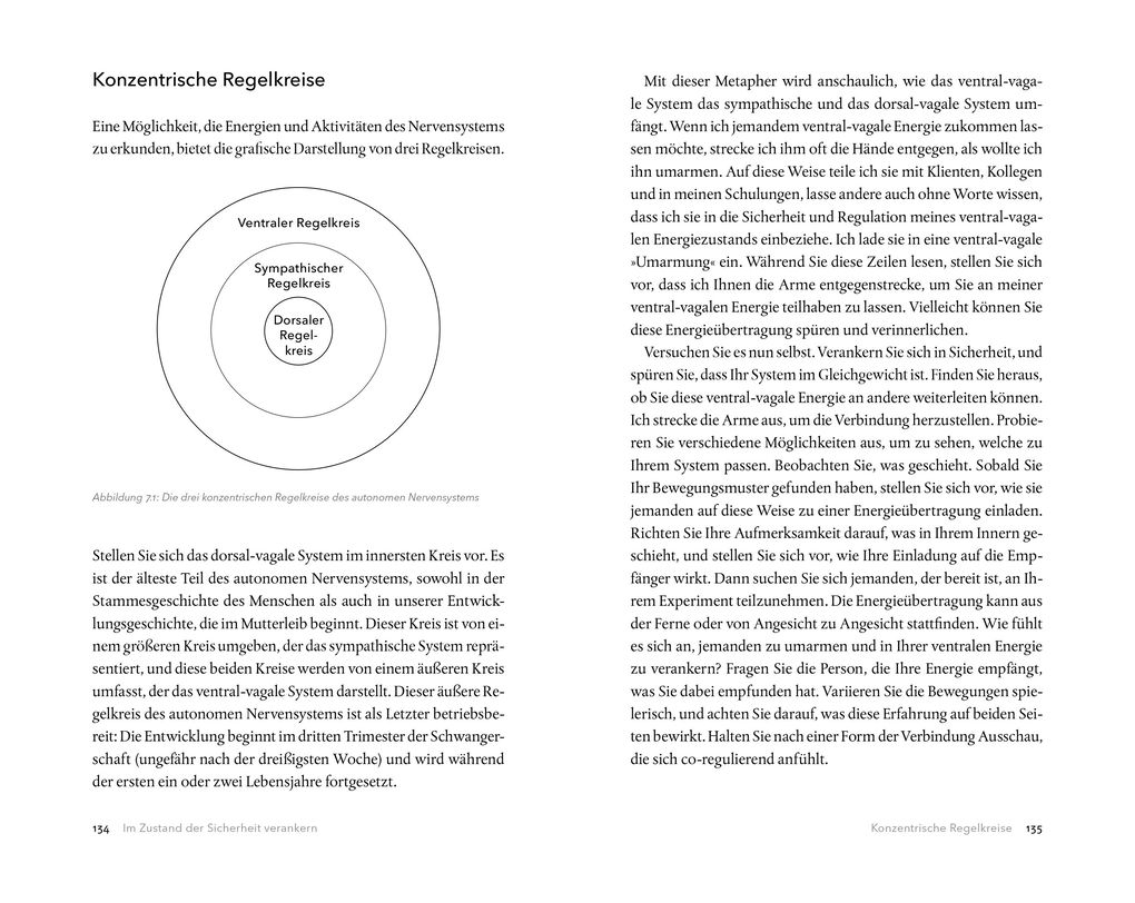 Weitere Ansicht: Der Vagus-Nerv als innerer Anker | Deb Dana