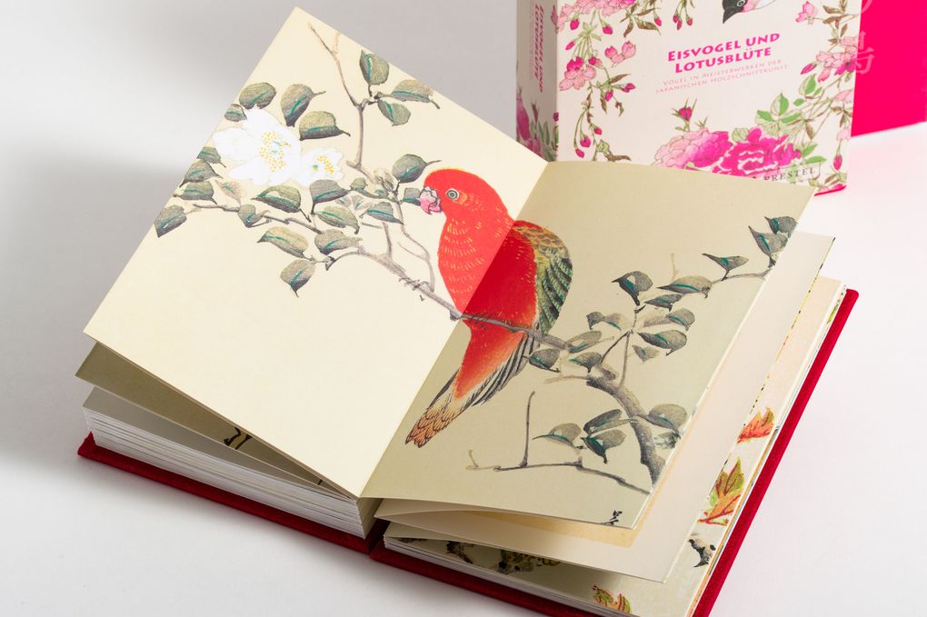 Weitere Ansicht: Eisvogel und Lotusblüte | Anne Sefrioui
