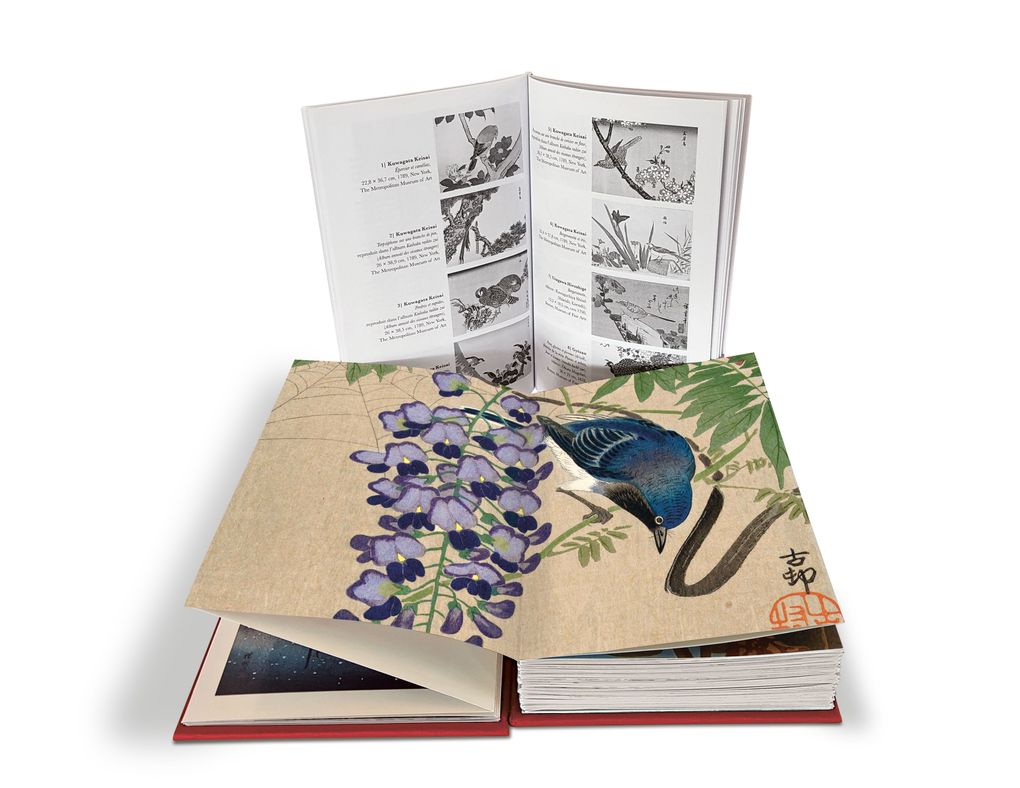 Weitere Ansicht: Eisvogel und Lotusblüte | Anne Sefrioui