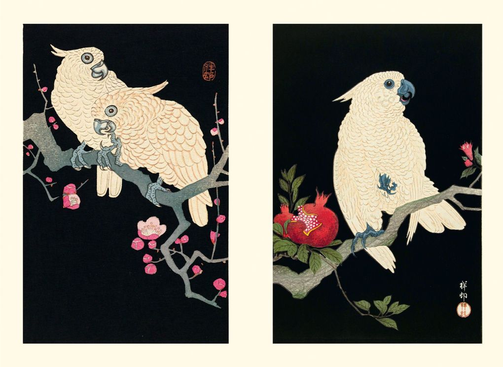 Weitere Ansicht: Eisvogel und Lotusblüte | Anne Sefrioui