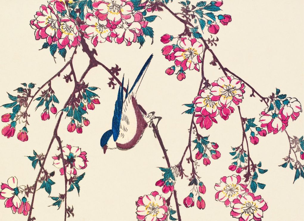 Weitere Ansicht: Eisvogel und Lotusblüte | Anne Sefrioui