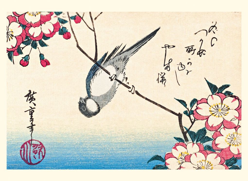 Weitere Ansicht: Eisvogel und Lotusblüte | Anne Sefrioui