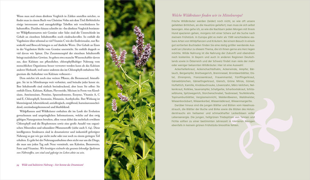 Weitere Ansicht: Heilen mit Wildkräutern - Meine Lebensretter aus der Natur | Ralf Brosius