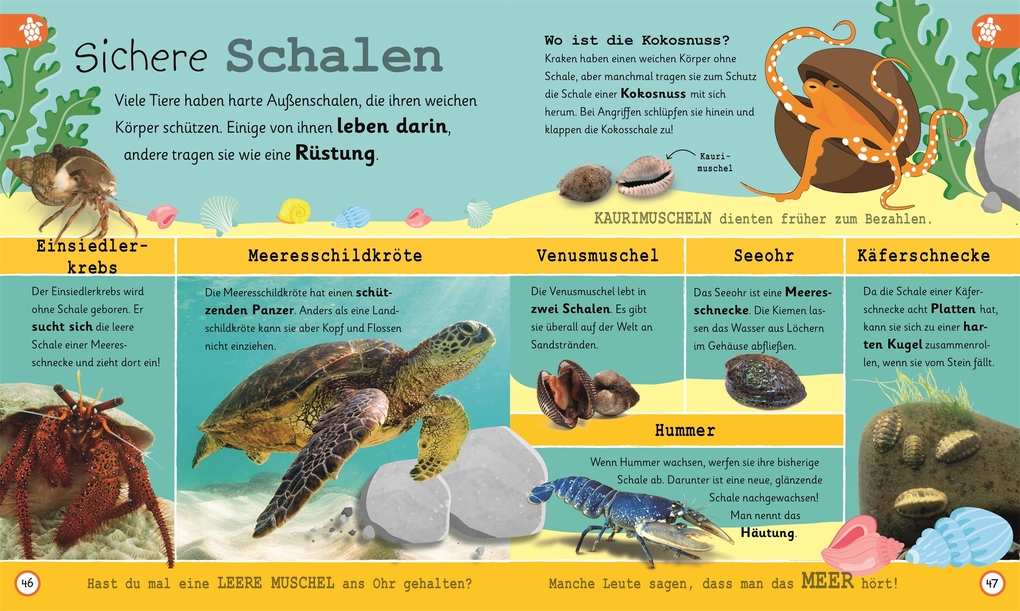 Weitere Ansicht: Wissen für Vorschulkids. Was weißt du über Ozeane? | Ben Hubbard, Andrea Mills