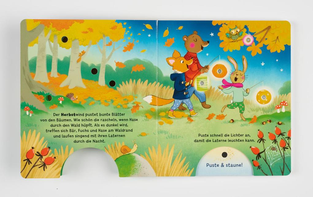 Weitere Ansicht: Mein Puste-Licht-Buch: Leuchte, leuchte durch das Jahr | Sylvia Tress