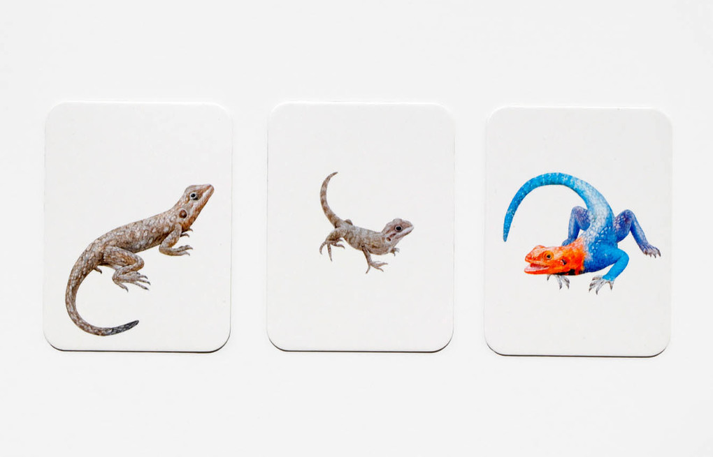 Weitere Ansicht: Tierfamilien-Memo | Mike Unwin, Ryuto Miyake