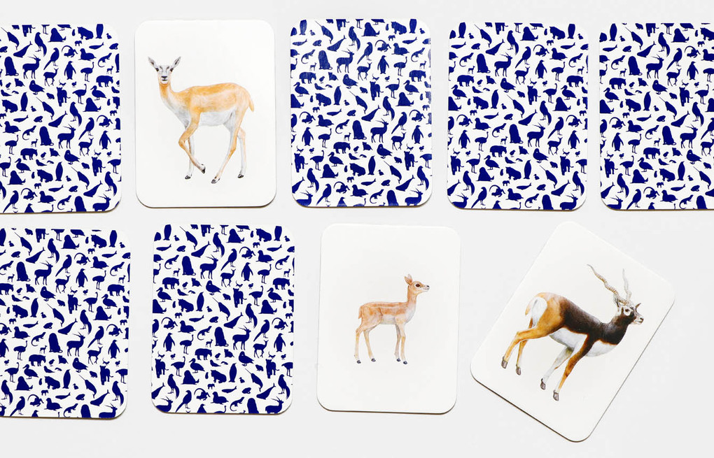 Weitere Ansicht: Tierfamilien-Memo | Mike Unwin, Ryuto Miyake