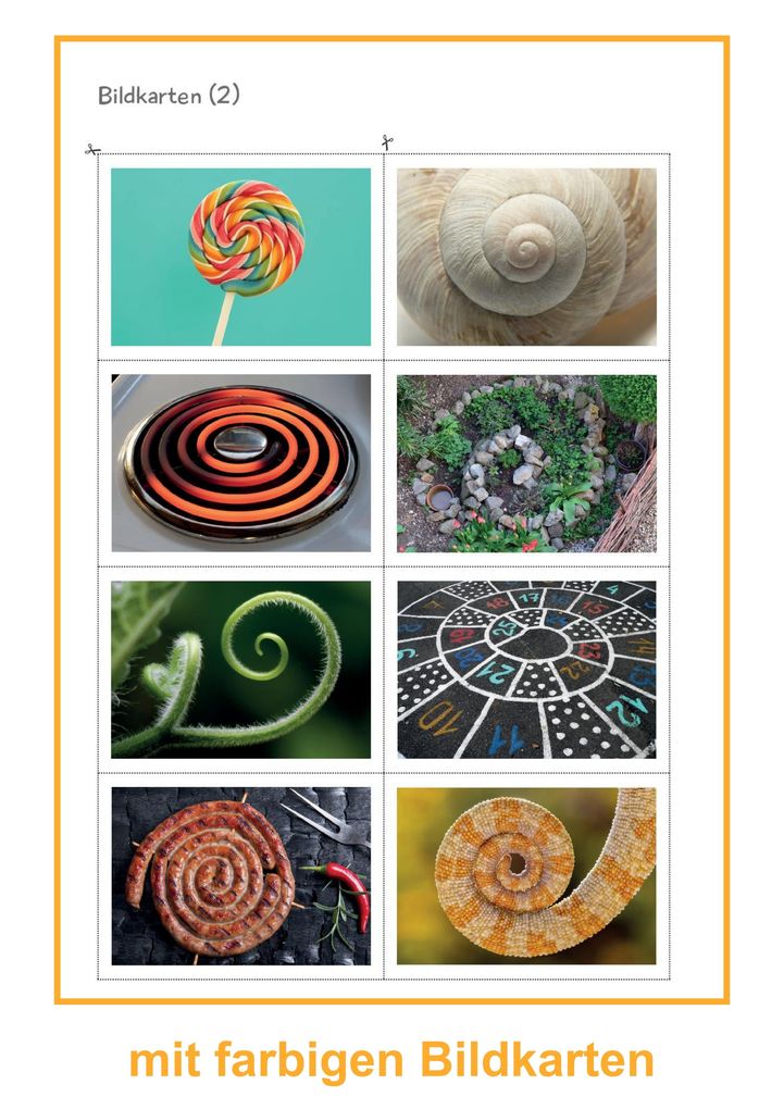 Weitere Ansicht: Schnecken | Svenja Ernsten