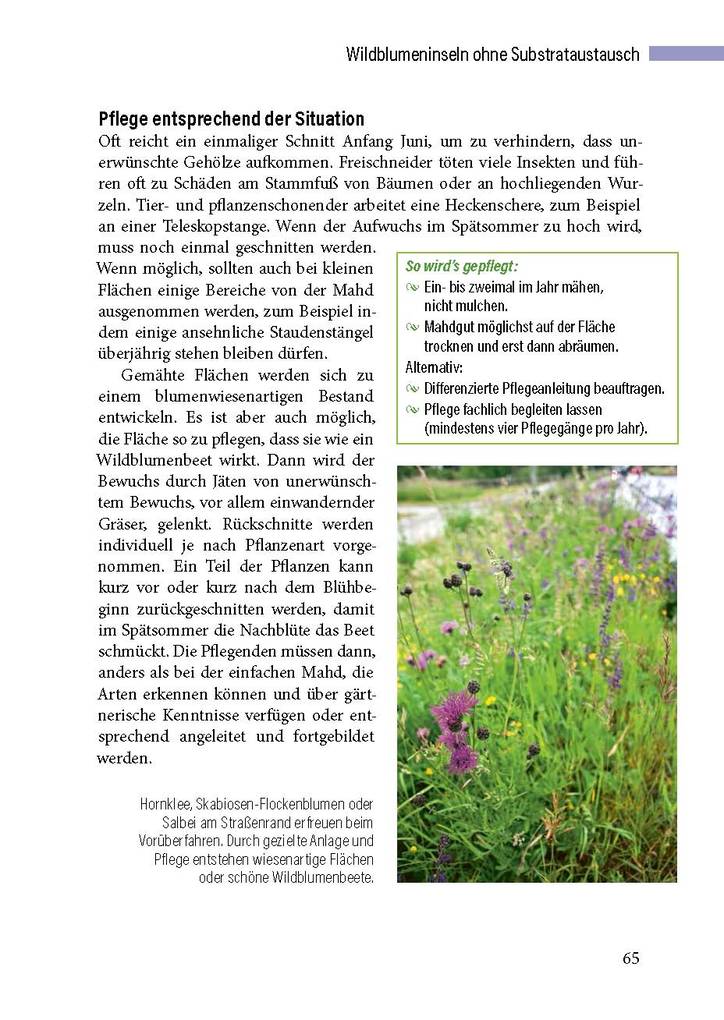 Weitere Ansicht: Öffentliche und gewerbliche Grünflächen naturnah | Ulrike Aufderheide