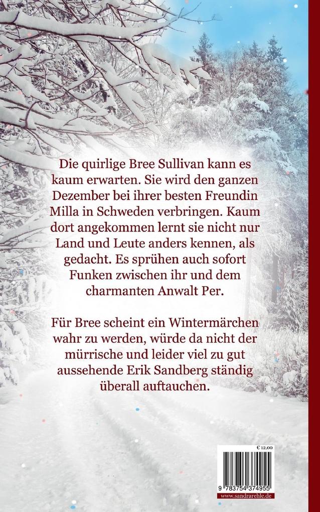 Weitere Ansicht: Winterlichter über Blåbärsskog | Sandra Rehle
