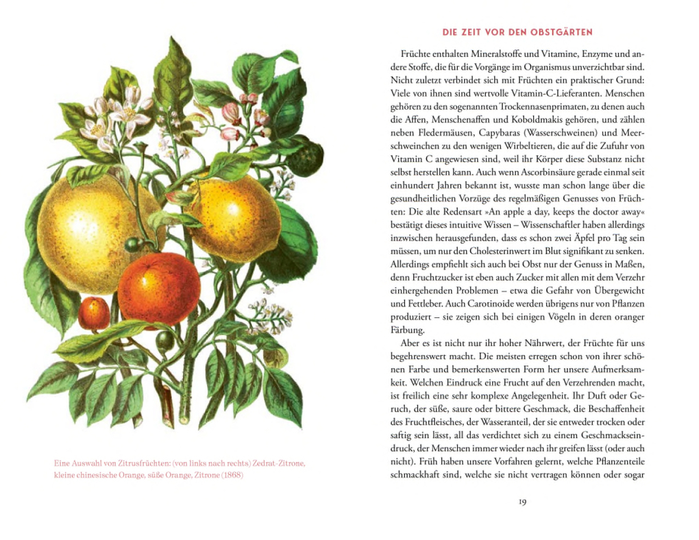 Weitere Ansicht: Von der Kunst, die Früchte zu zähmen | Bernd Brunner