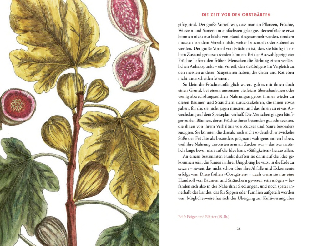 Weitere Ansicht: Von der Kunst, die Früchte zu zähmen | Bernd Brunner