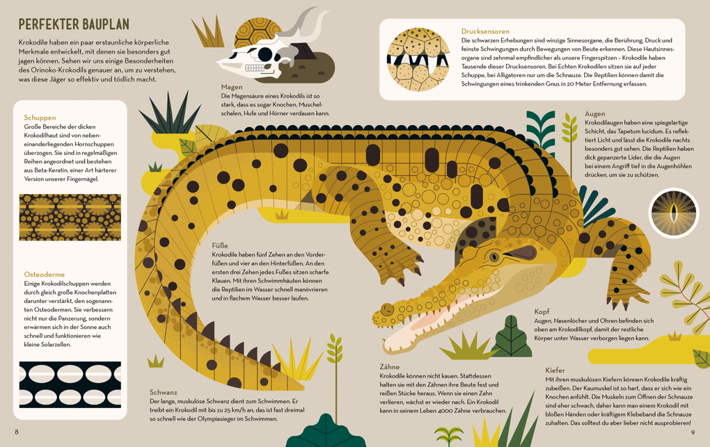 Weitere Ansicht: Der Klub der Krokodile | Owen Davey