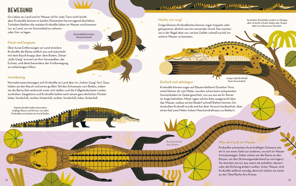 Weitere Ansicht: Der Klub der Krokodile | Owen Davey