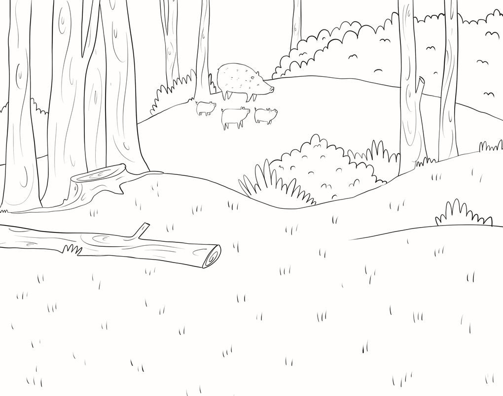 Weitere Ansicht: Mein 3D Mal- und Sachbuch - Wald