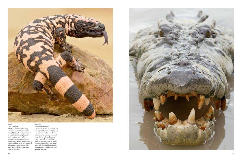 Weitere Ansicht: Dangerous Animals | Barry Madden