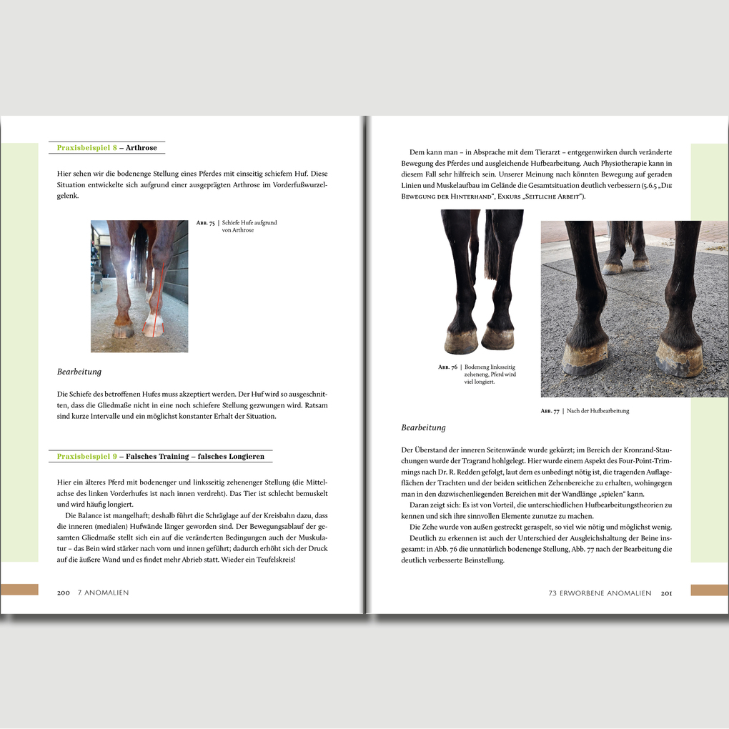 Weitere Ansicht: Hufwerk | Kati Jurth