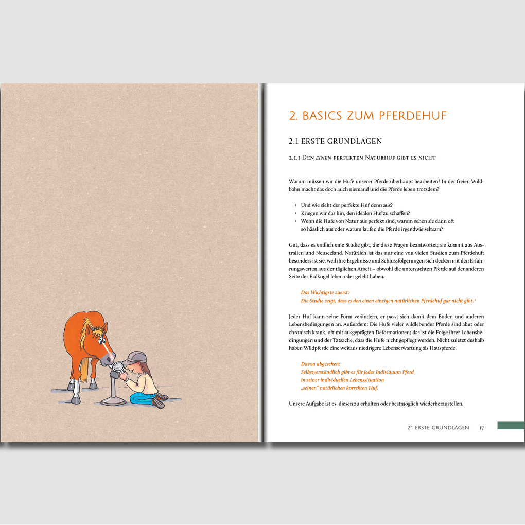 Weitere Ansicht: Hufwerk | Kati Jurth