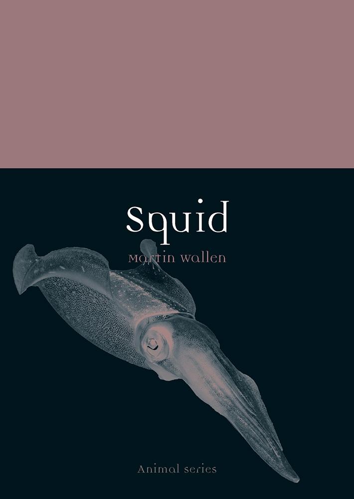 Produktbild: Squid | Wallen Martin Wallen