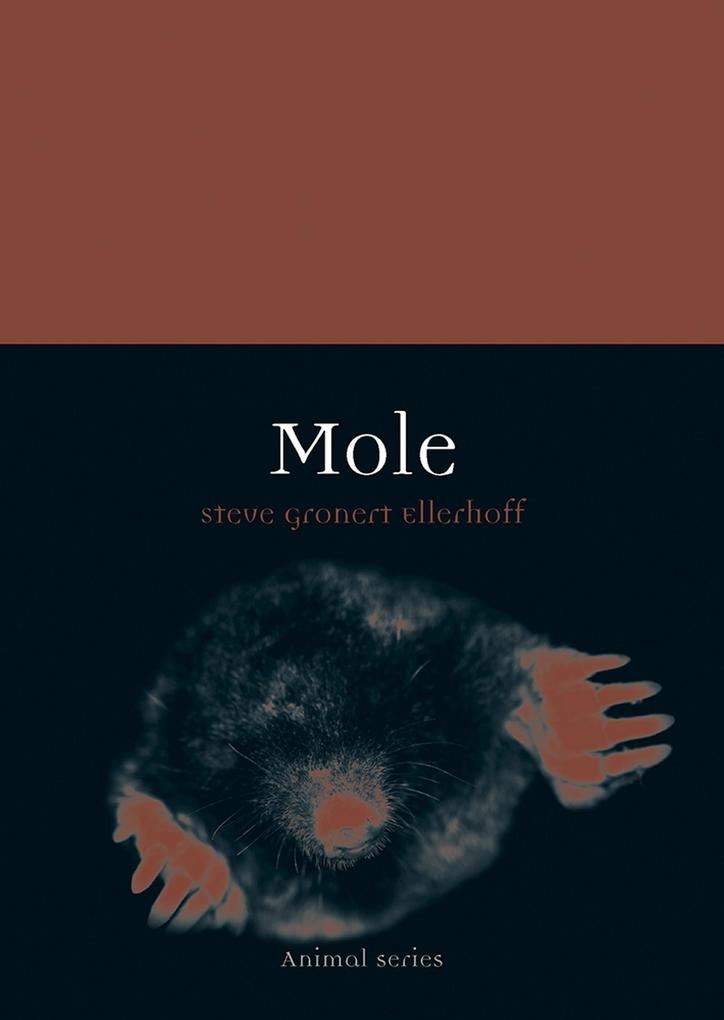 Produktbild: Mole | Ellerhoff Steve Gronert Ellerhoff