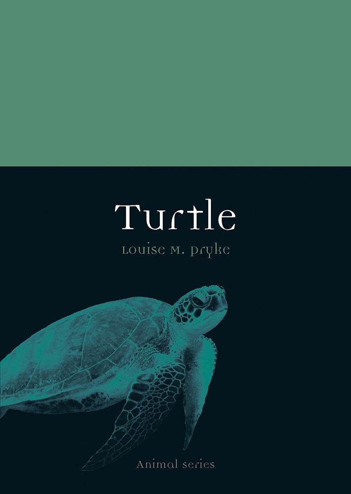 Produktbild: Turtle | Pryke Louise M. Pryke
