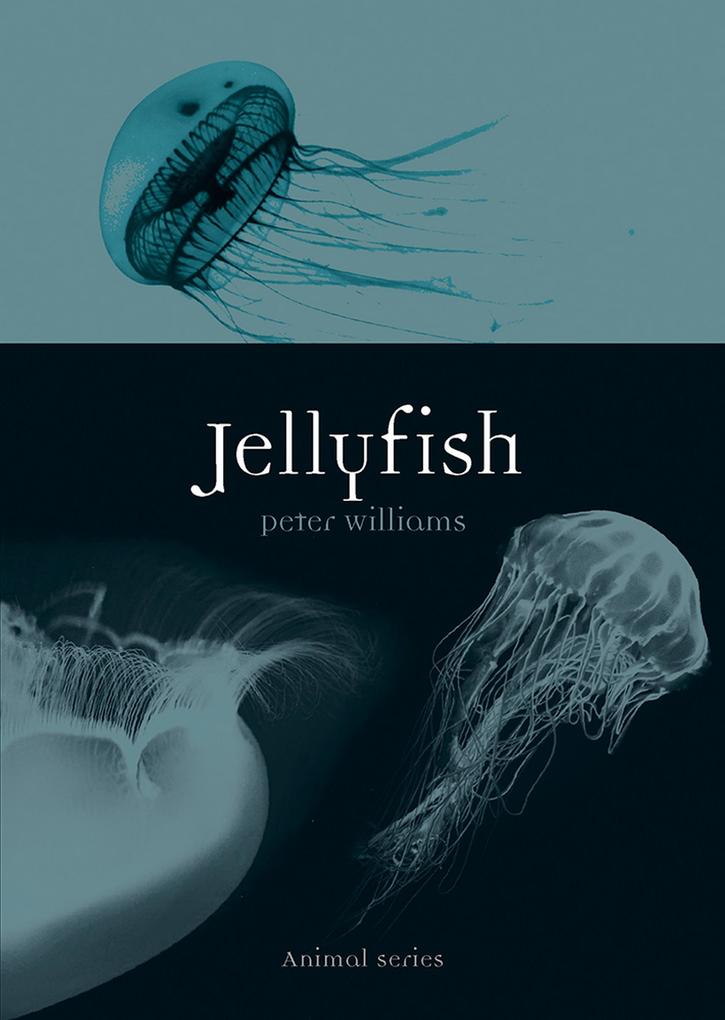 Produktbild: Jellyfish | Williams Peter Williams
