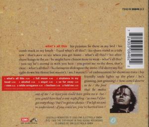 Weitere Ansicht: What's All This | Herbert Grönemeyer