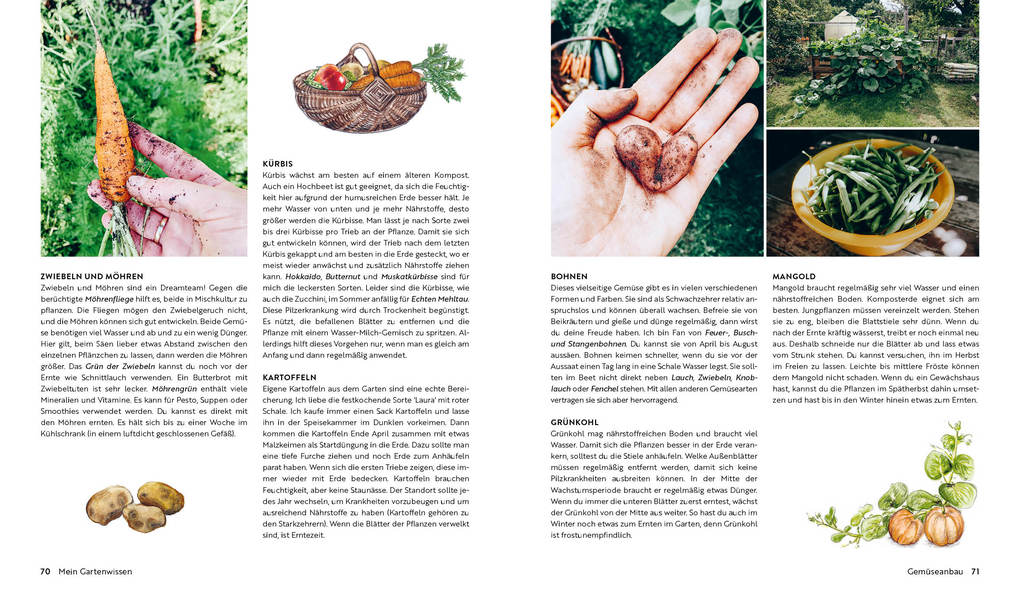 Weitere Ansicht: Kleine Freiheit Garten - Glücklich im Schrebergarten | Janine Sommer