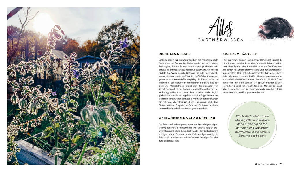 Weitere Ansicht: Kleine Freiheit Garten - Glücklich im Schrebergarten | Janine Sommer