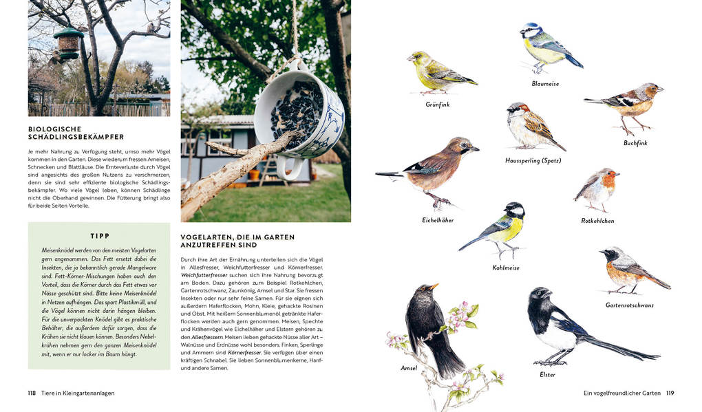 Weitere Ansicht: Kleine Freiheit Garten - Glücklich im Schrebergarten | Janine Sommer