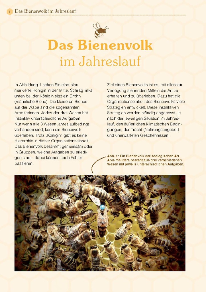 Weitere Ansicht: Mit Bienen die Welt retten | Andreas Heidinger