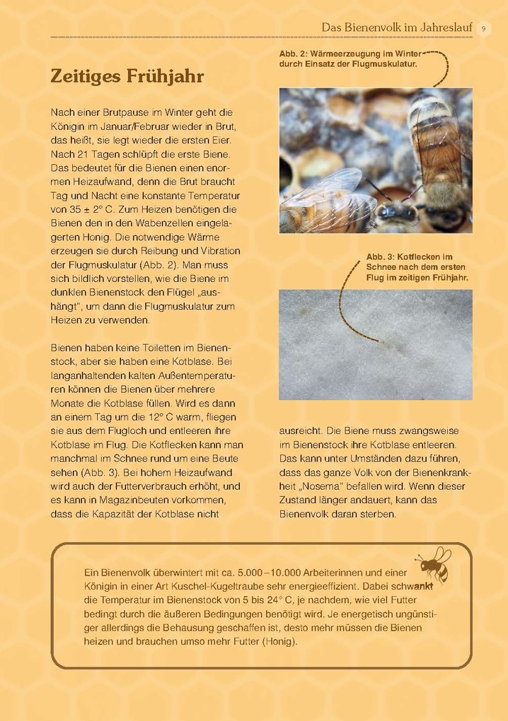 Weitere Ansicht: Mit Bienen die Welt retten | Andreas Heidinger