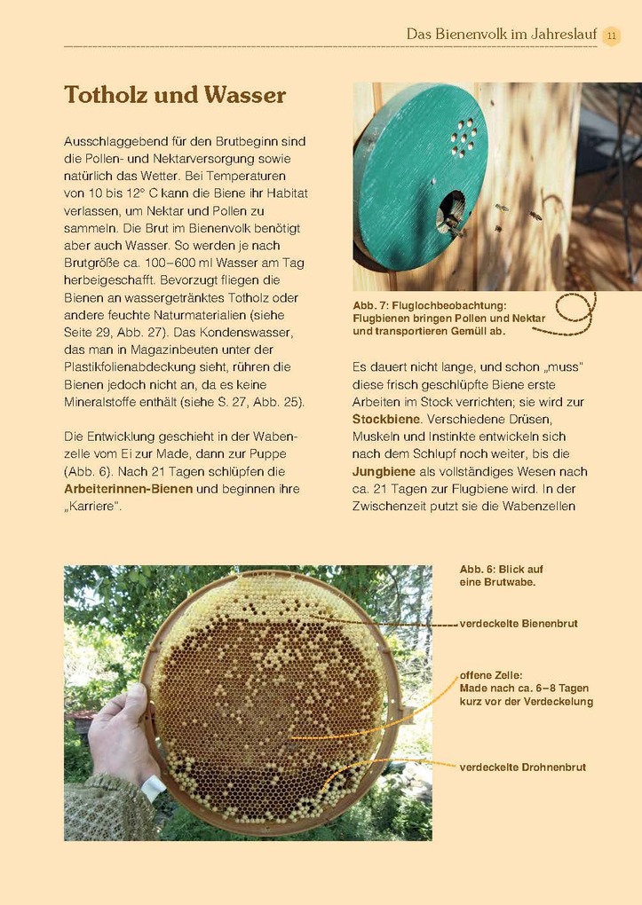 Weitere Ansicht: Mit Bienen die Welt retten | Andreas Heidinger