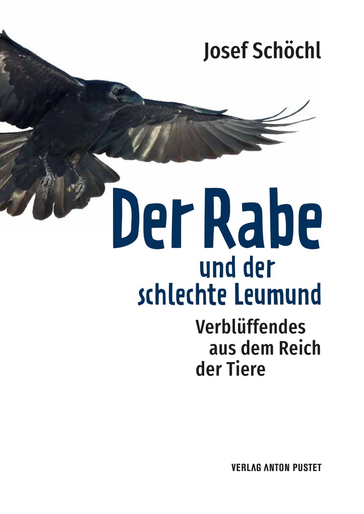 Weitere Ansicht: Der Rabe und der schlechte Leumund | Josef Schöchl