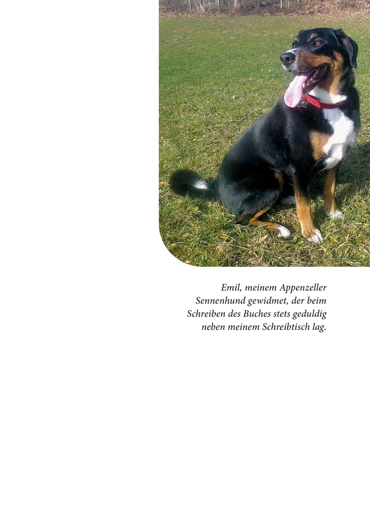 Weitere Ansicht: Der Rabe und der schlechte Leumund | Josef Schöchl