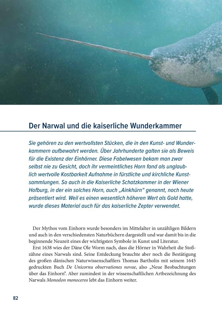 Weitere Ansicht: Der Rabe und der schlechte Leumund | Josef Schöchl