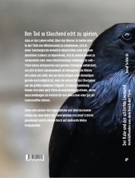 Weitere Ansicht: Der Rabe und der schlechte Leumund | Josef Schöchl