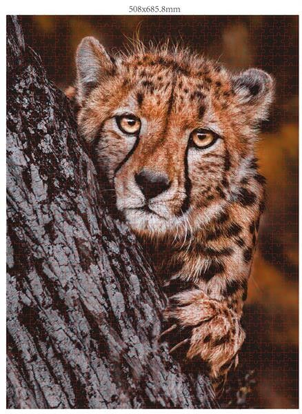 Weitere Ansicht: Ambassador - Gepard, Donal Boyd, 1000 Teile