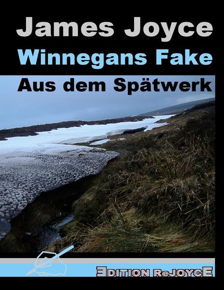 Produktbild: Winnegans Fake | James Joyce