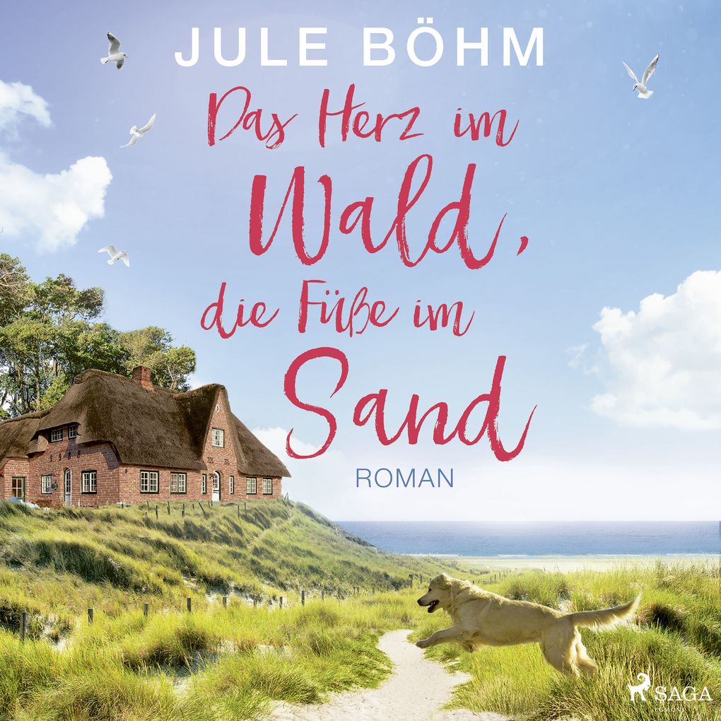 Produktbild: Das Herz im Wald, die Füße im Sand | Jule Böhm