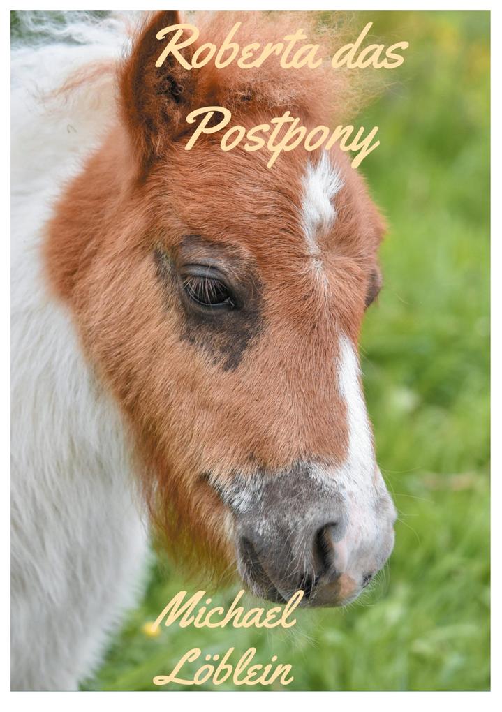 Produktbild: Roberta das Postpony | Michael Löblein