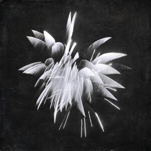 Produktbild: New Morning Howl | Brent Windler