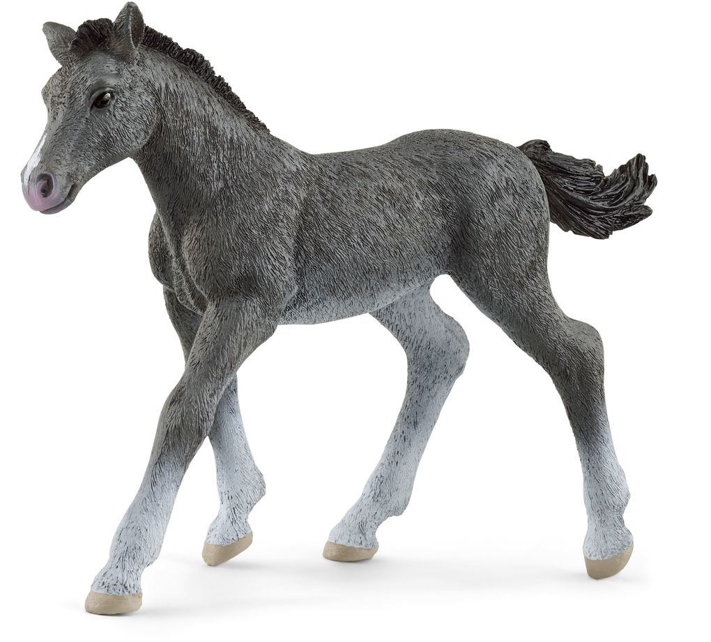 Produktbild: Schleich - Horse Club - Trakehner Fohlen