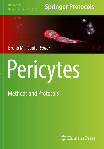 Produktbild: Pericytes