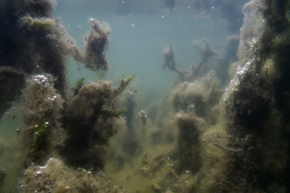 Weitere Ansicht: Hans-Christian Schink | Unter Wasser