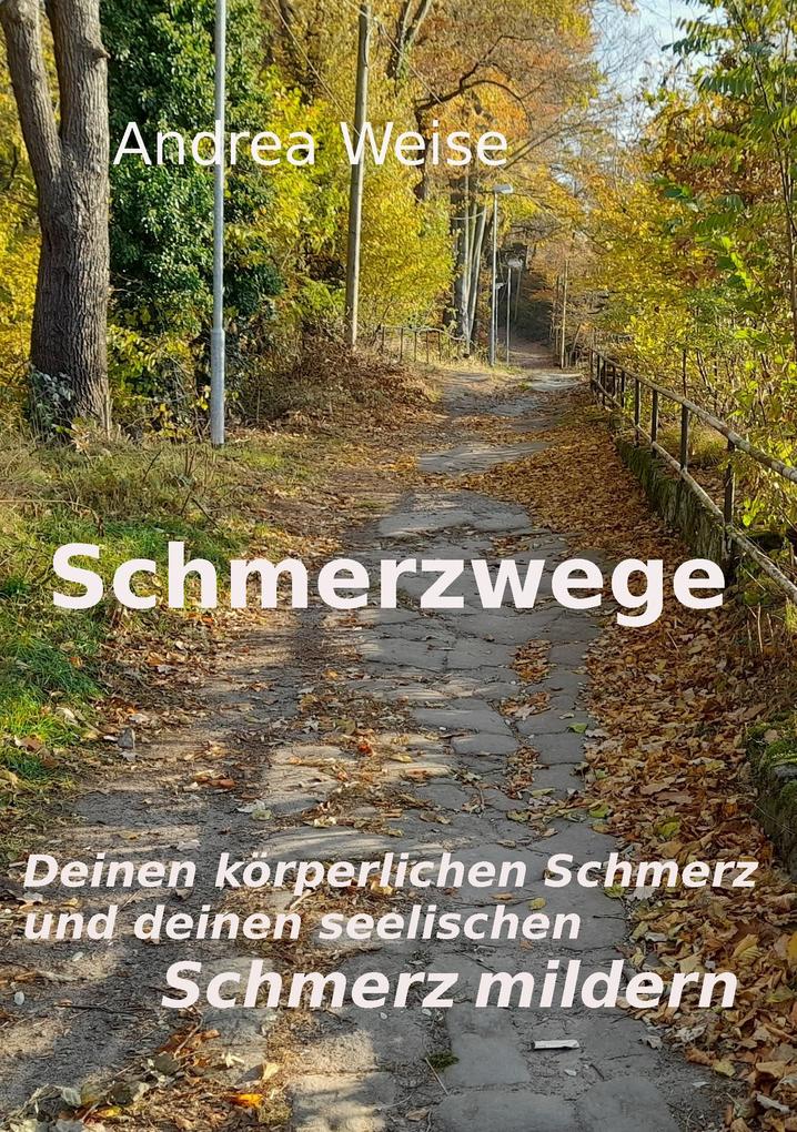 Produktbild: Schmerzwege | Andrea Weise