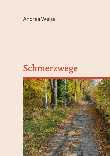 Produktbild: Schmerzwege | Andrea Weise