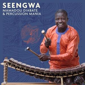 Produktbild: Seengwa | Mamadou Diabate