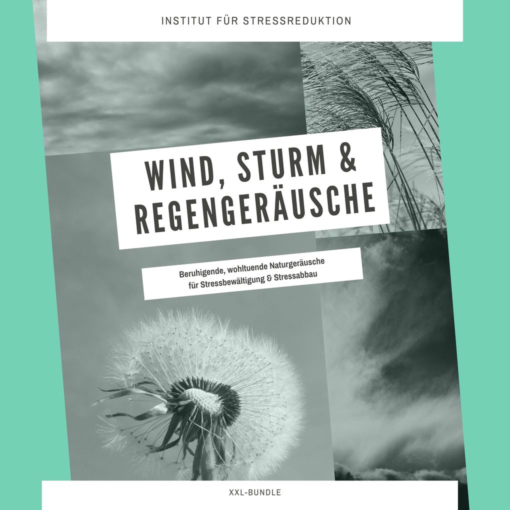Produktbild: Wind, Sturm & Regengeräusche: Beruhigende, wohltuende Naturgeräusche für Stressbewältigung & Stressabbau | Institut für Stressabbau